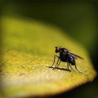 /album/ddgucci/photolia-a07-jpg/